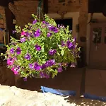 Bed & Breakfast D'hotes - Le Petit Bonheur Frayssinet-le-Gelat