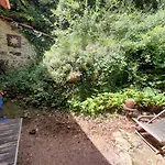 Bed & Breakfast D'hotes - Le Petit Bonheur Frayssinet-le-Gelat