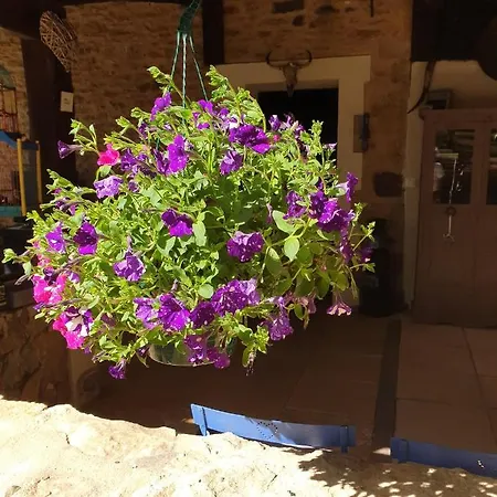 Bed & Breakfast D'hotes - Le Petit Bonheur Frayssinet-le-Gelat