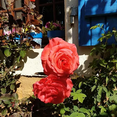 D'hotes - Le Petit Bonheur