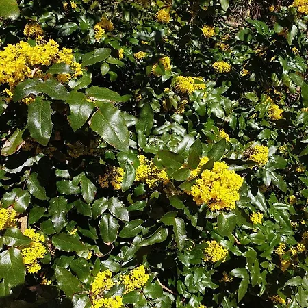 Bed & Breakfast D'hotes - Le Petit Bonheur Frayssinet-le-Gelat