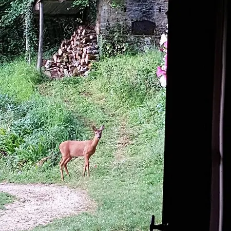 D'hotes - Le Petit Bonheur Bed & Breakfast