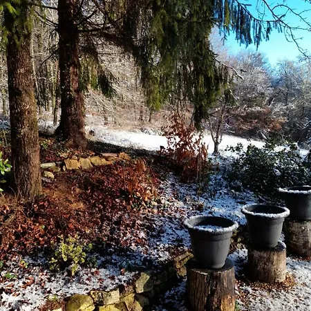 Bed & Breakfast D'hotes - Le Petit Bonheur *