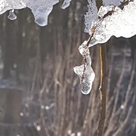 Bed & Breakfast D'hotes - Le Petit Bonheur Frayssinet-le-Gelat