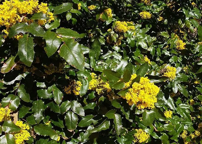 Bed & Breakfast D'hotes - Le Petit Bonheur Frayssinet-le-Gélat